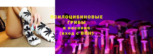 индика Алексеевка