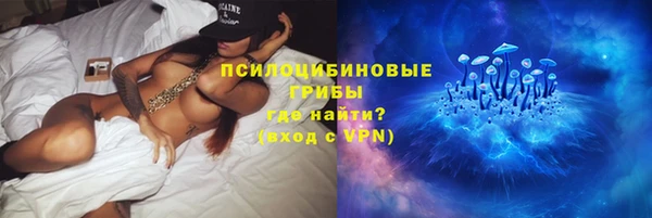 индика Алексеевка