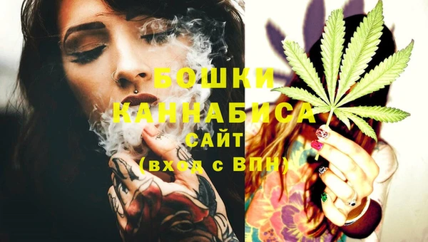 спайс Алексин