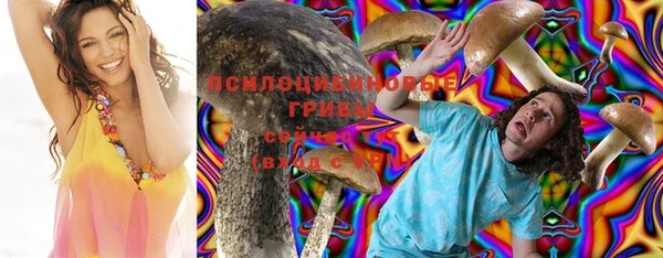 индика Алексеевка