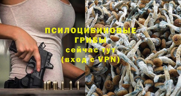 индика Алексеевка
